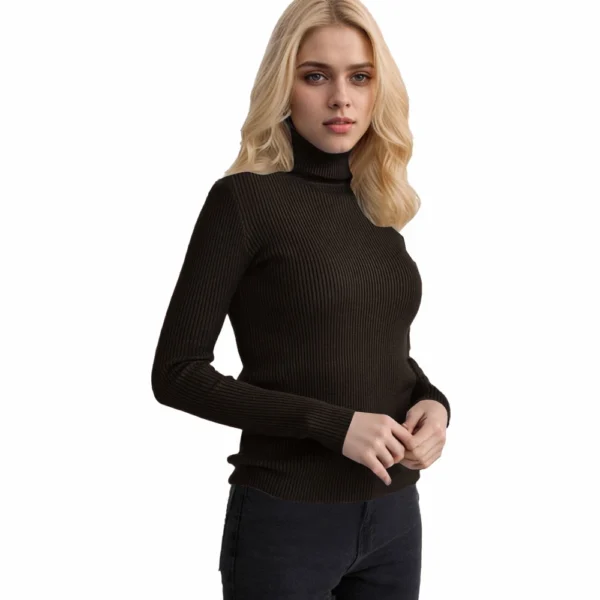Women's Fashion Casual Solid Color Versatile Knitted High Neck Pullover Sweater - Image 20